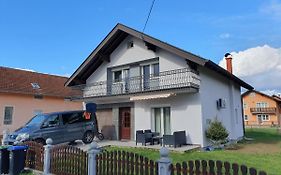 House Antea